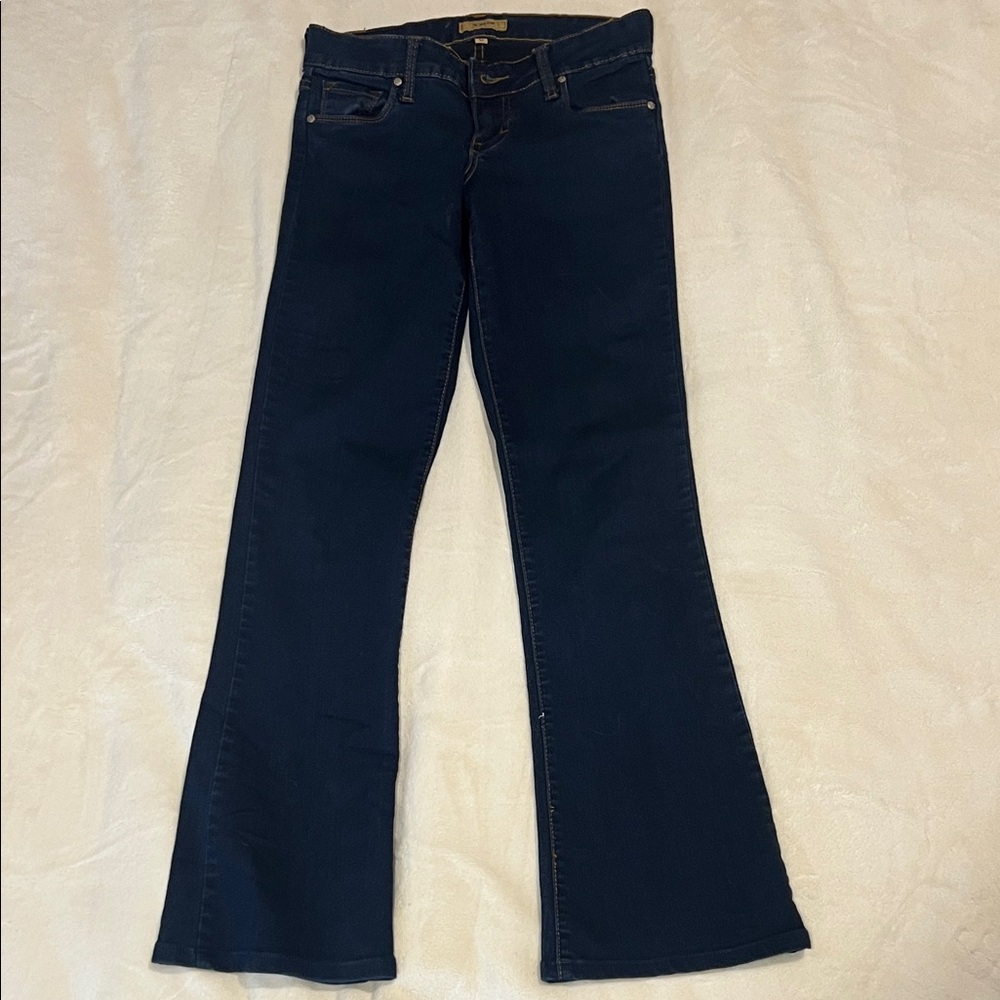 STS Blue Dark Flare Jeans